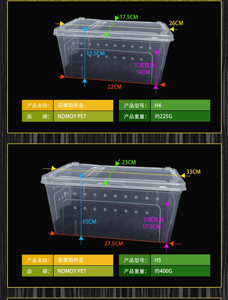 Clear Breeding Box Insect Spider Feeding Case Small Size PP Plastic Reptile Box for Lizard Snake