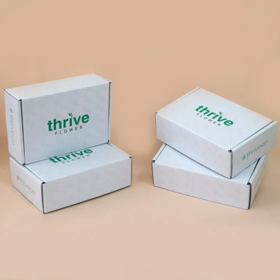 Logo-Geschenkkarton-Versand, weiße Kosmetikverpackung, bedruckte individuelle Box